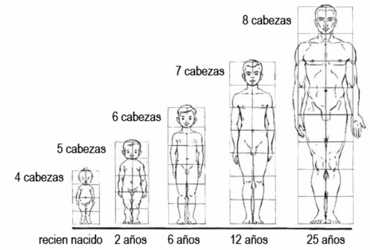¿Qué mide el test de dibujo de la figura humana?