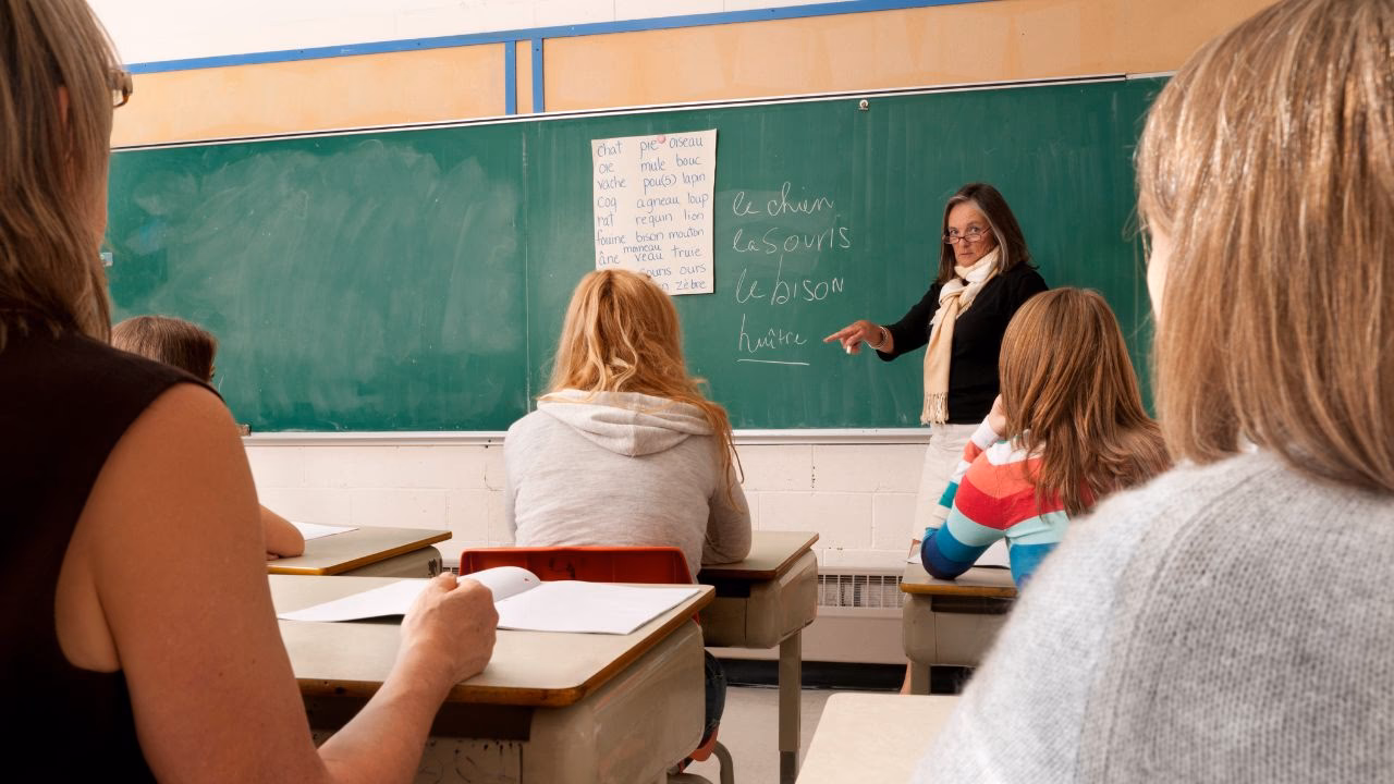 ¿Dónde puedo estudiar idiomas en México?