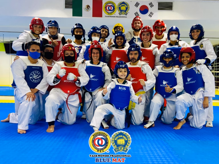 ¿Cuánto cuesta un combate de taekwondo?