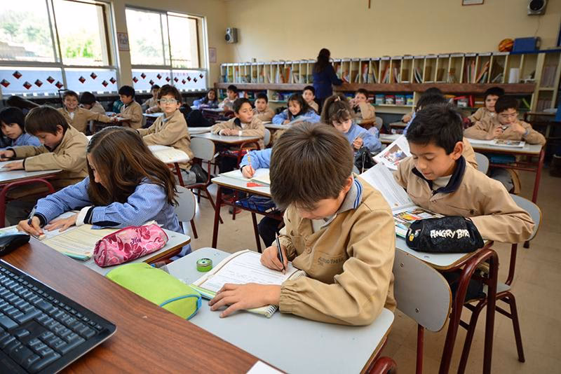 ¿Cómo se debe decir alumnos o estudiantes?