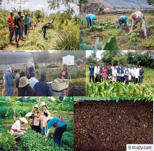 ¿Qué es la geografía de la agricultura?