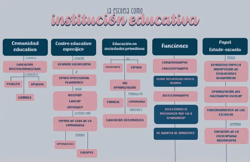 ¿Por qué la escuela es una organización?
