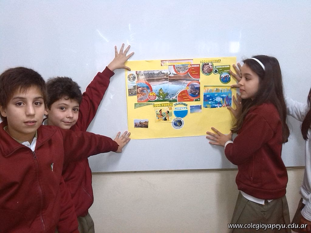 ¿Cuáles son las láminas educativas?