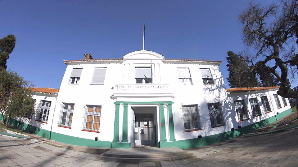 ¿A qué escuela primaria asistió Brian Lara?