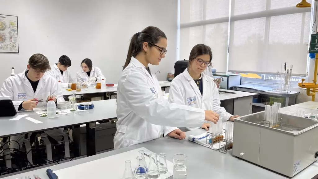 ¿Cuál es el mejor colegio de Galicia?