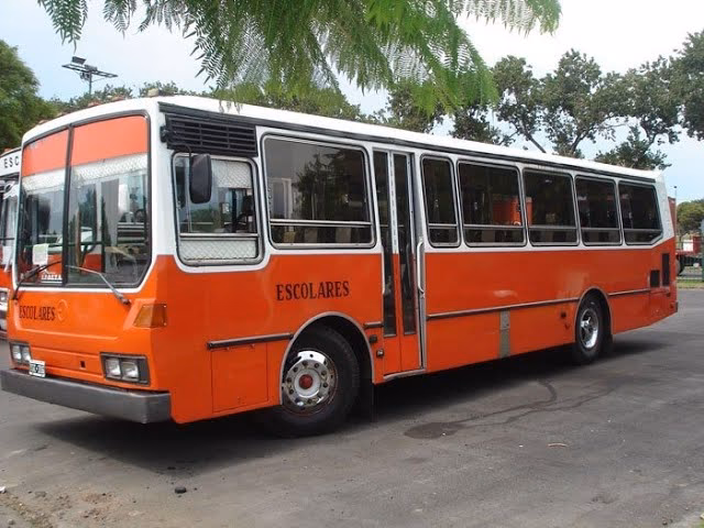 ¿Cuánto entran en un microescolar?