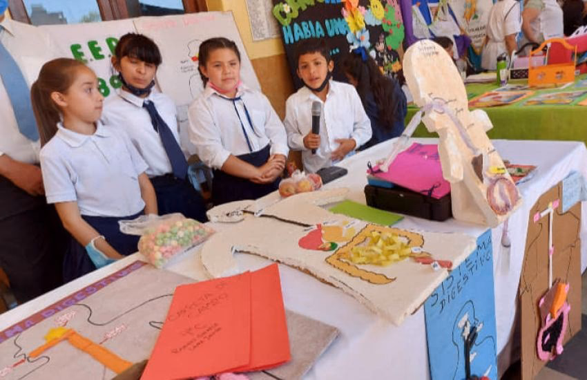 ¿Qué quiere decir muestra pedagógica?