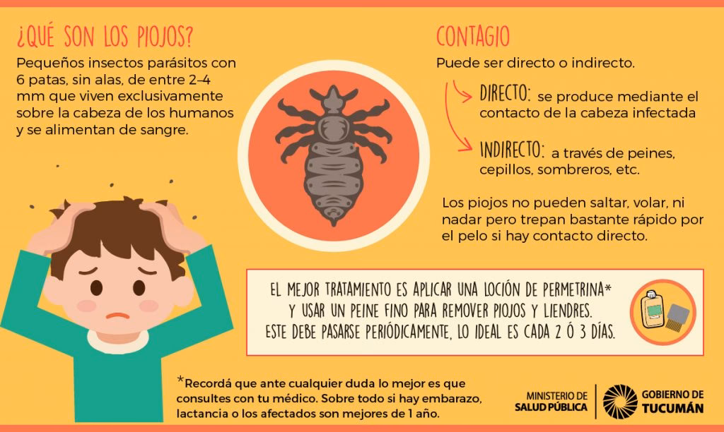 ¿Qué es lo que provoca tener piojos?