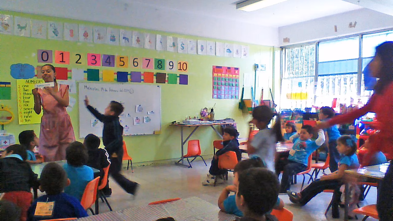 ¿Qué es la práctica profesional en educación primaria?