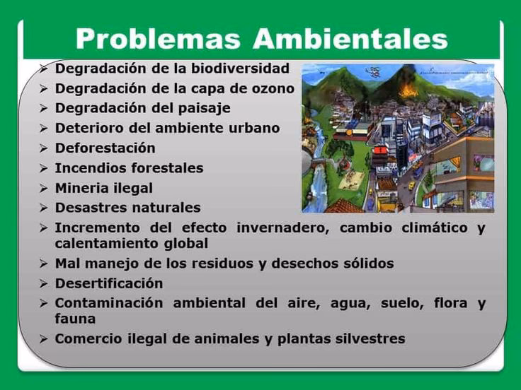¿Cuáles son los factores ambientales de las escuelas?