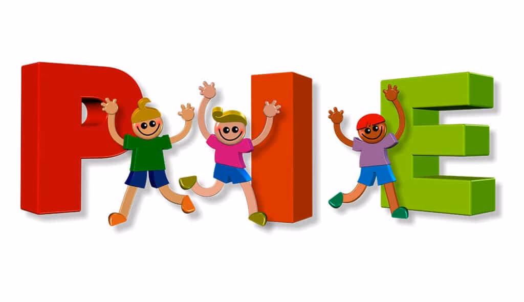 ¿Qué es el programa PIE en los colegios?