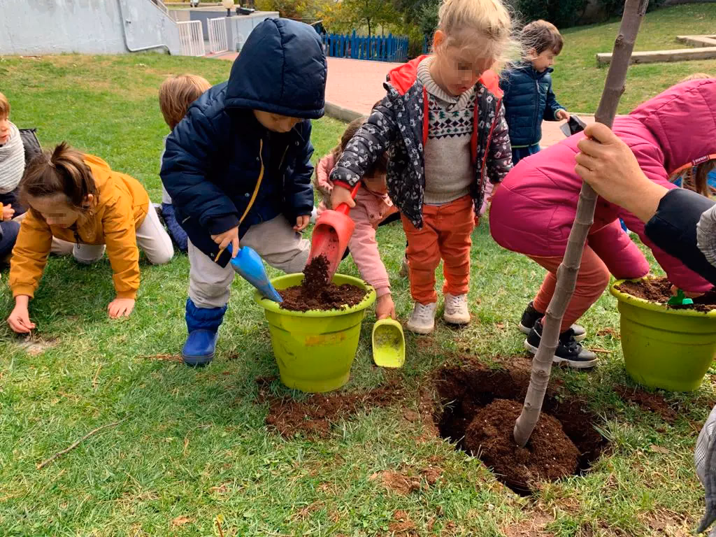 ¿Cómo hacer una campaña para plantar árboles?