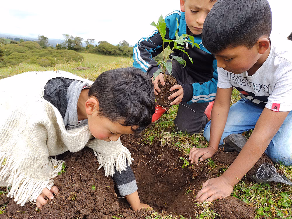 ¿Cuál es el objetivo de plantar árboles en una escuela?