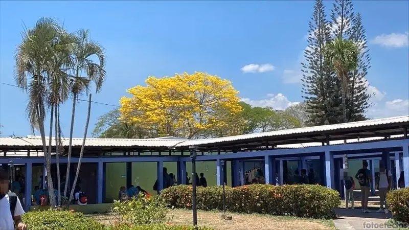 ¿Qué es un instituto técnico profesional?