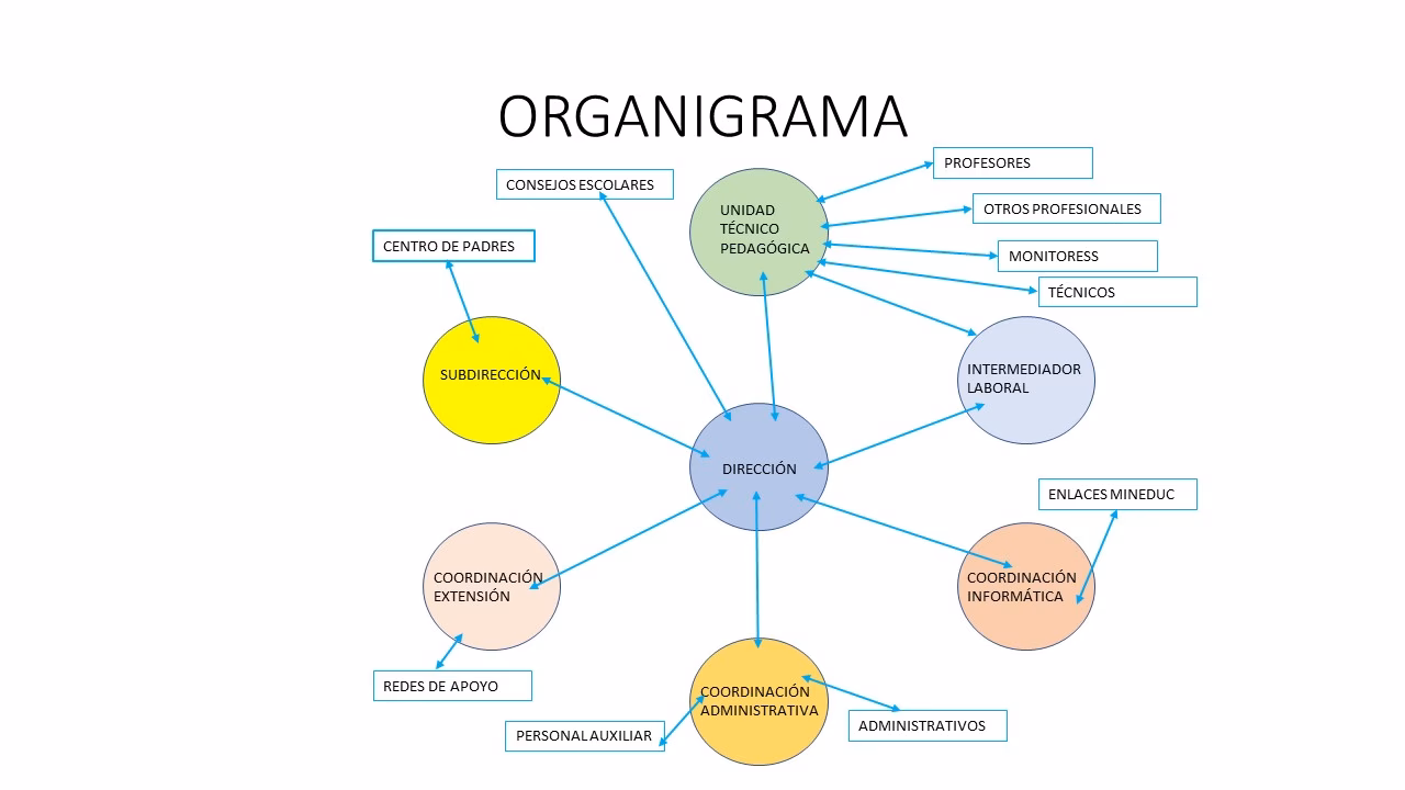 ¿Quiénes son los miembros del equipo de gestión?