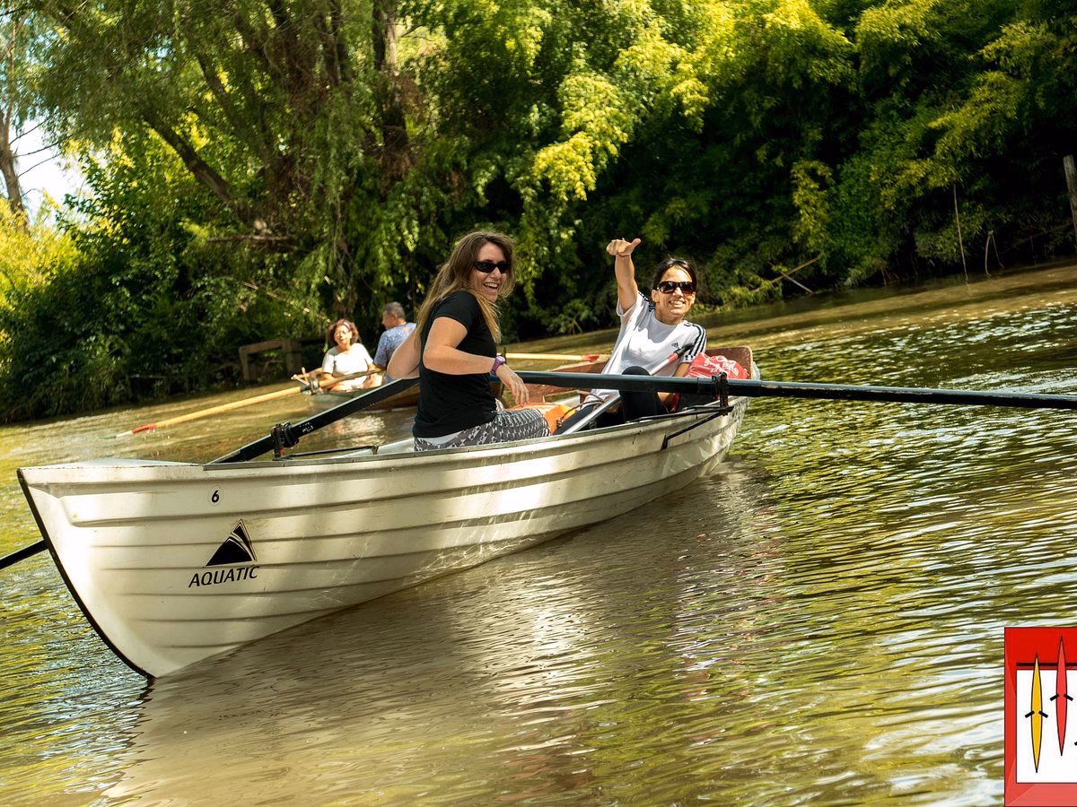 ¿Cuál es la diferencia entre remar y hacer sculling?