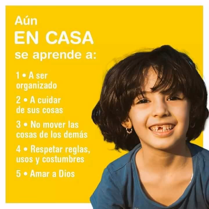 ¿Cuál es la diferencia entre educar y enseñar?