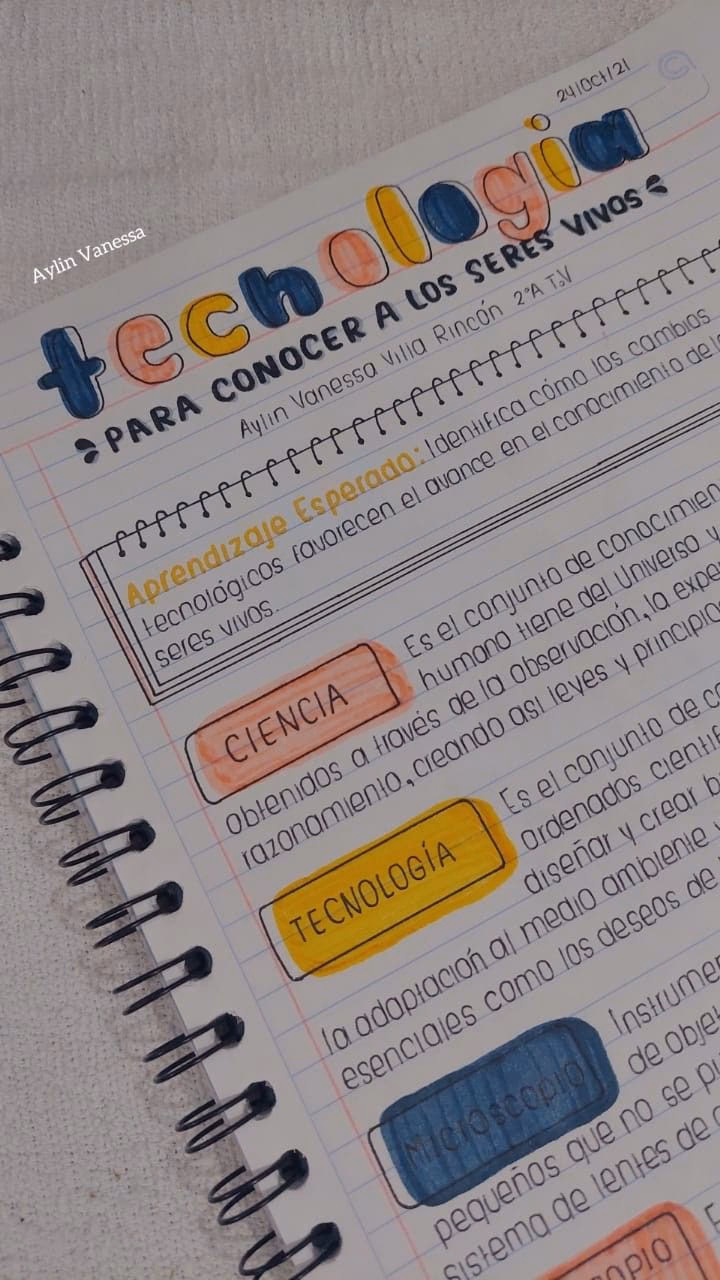 ¿Qué tipos de trabajos escolares hay?